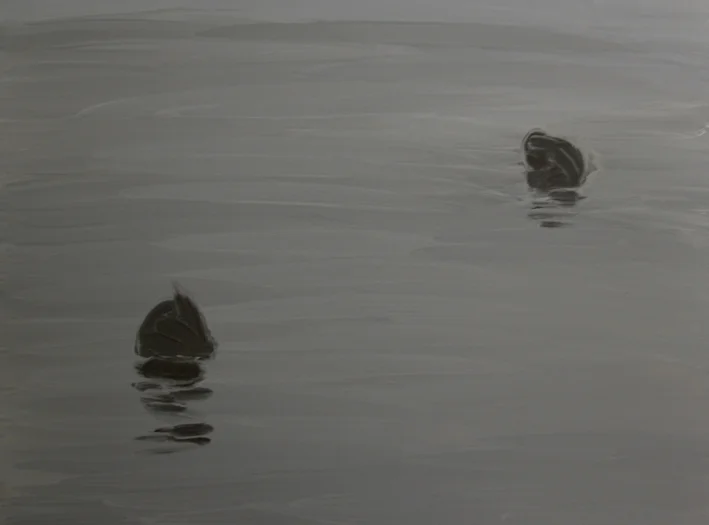 Coots (i).jpg