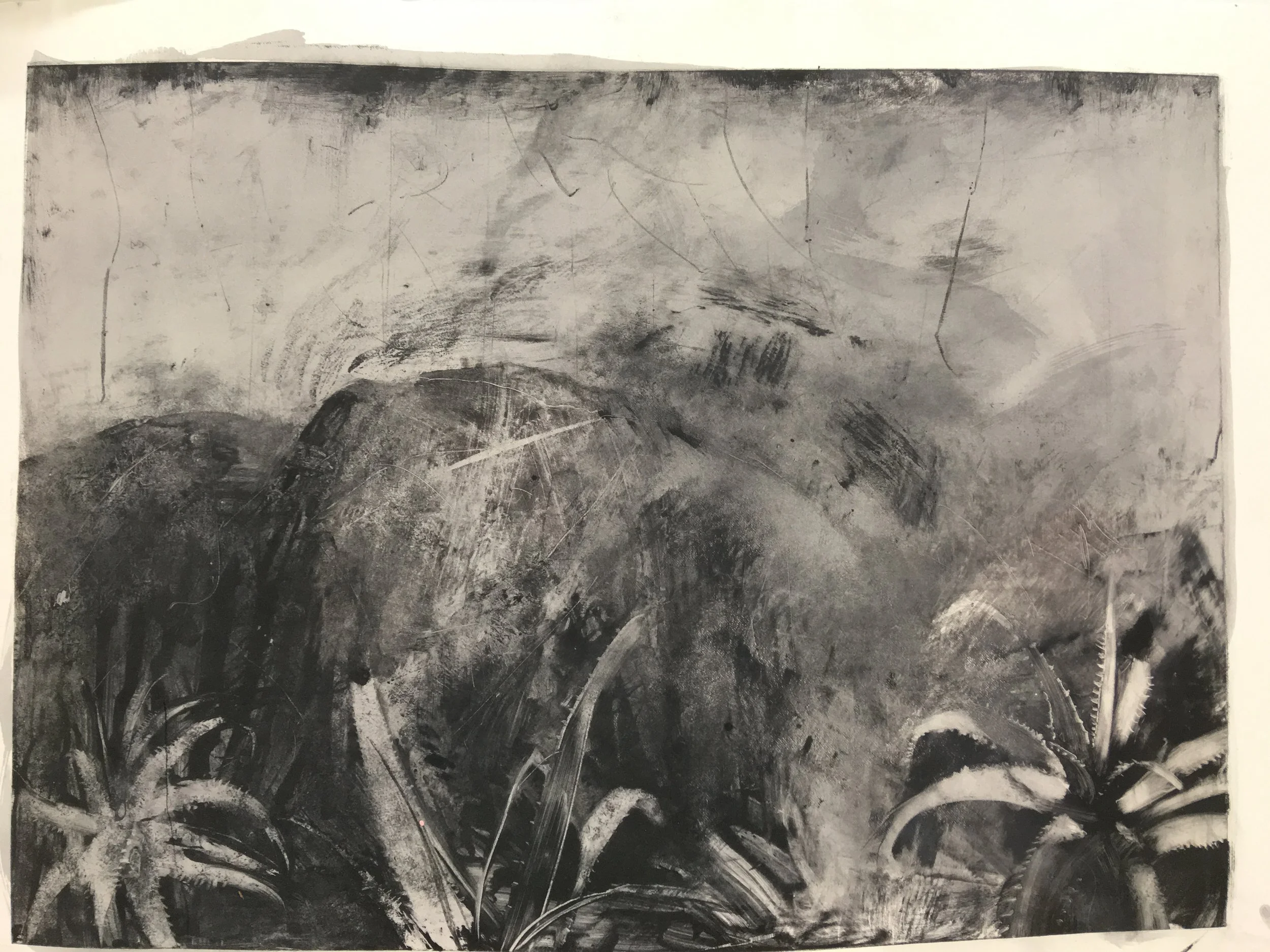 Frances Gynn, monotype from the gardens at Bogliasco