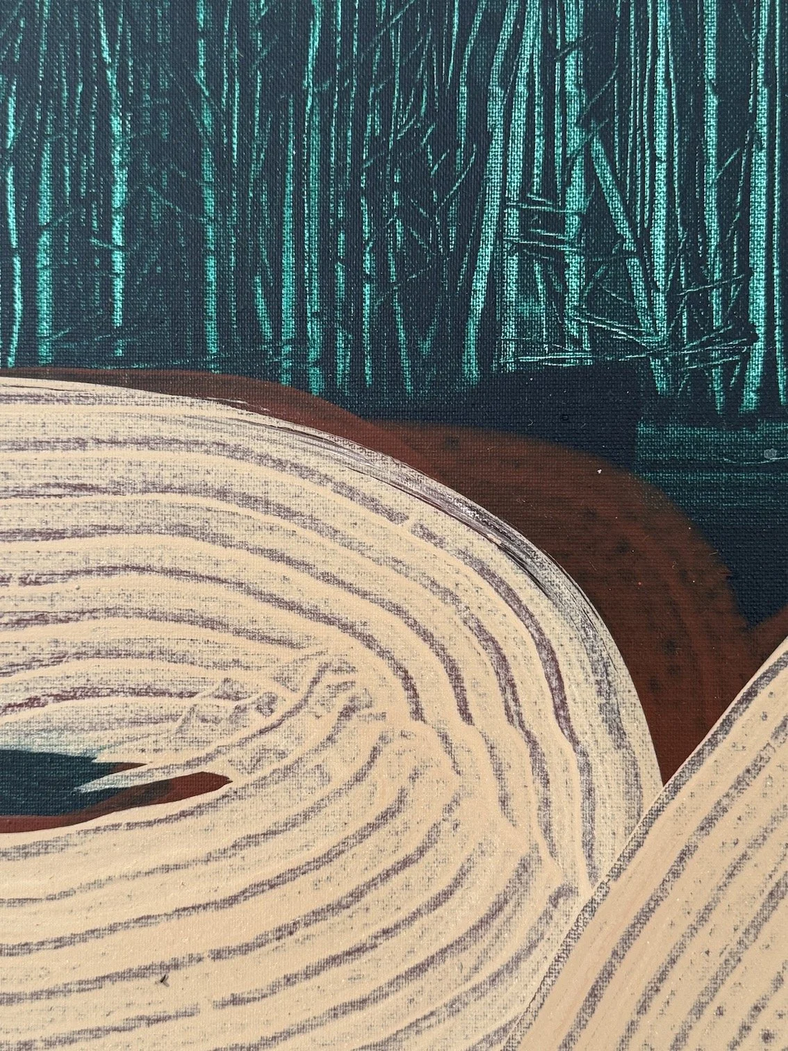 Deforestation - Amazon (iii) Detail A