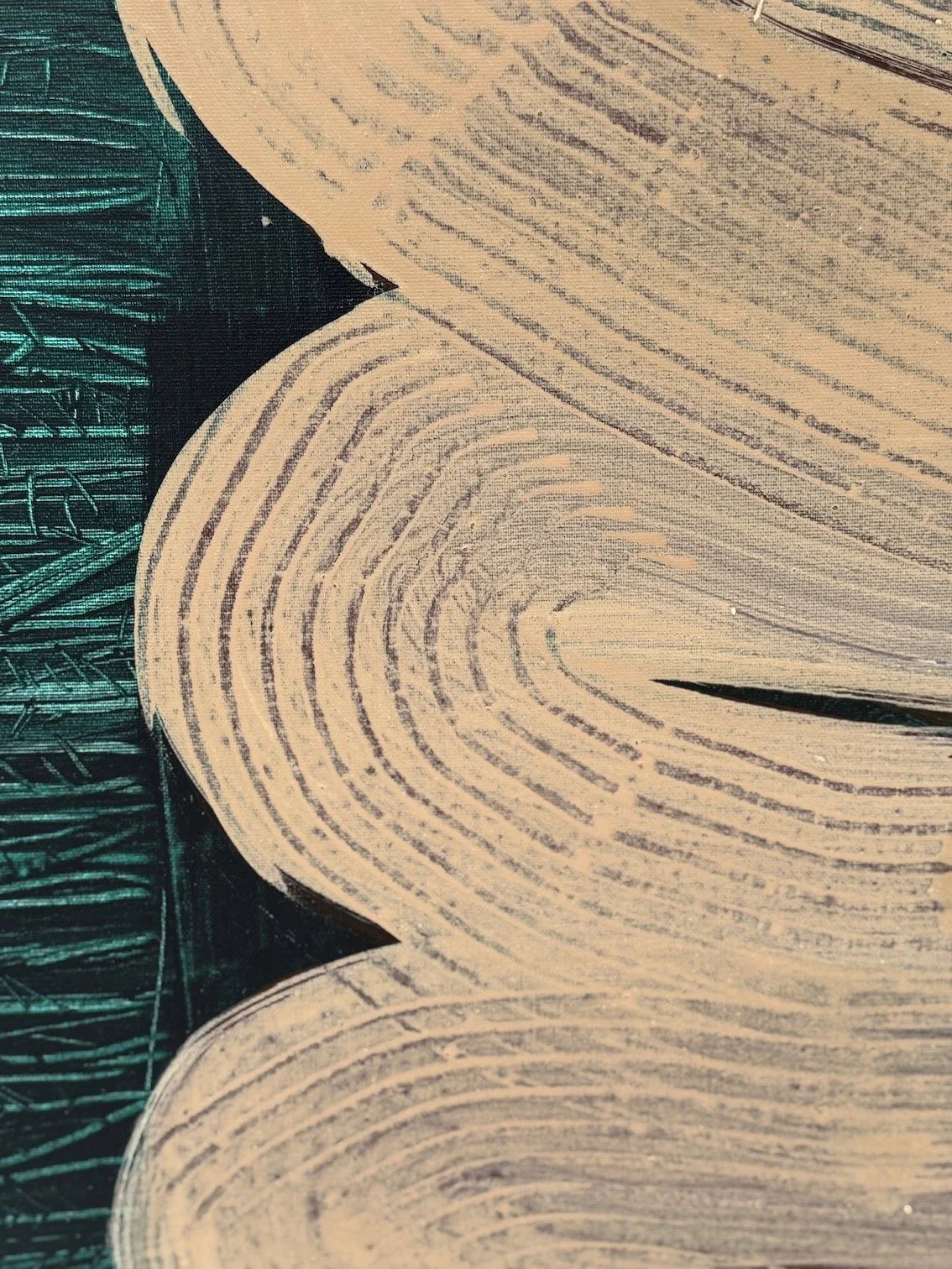 Deforestation - Amazon (iii) Detail B