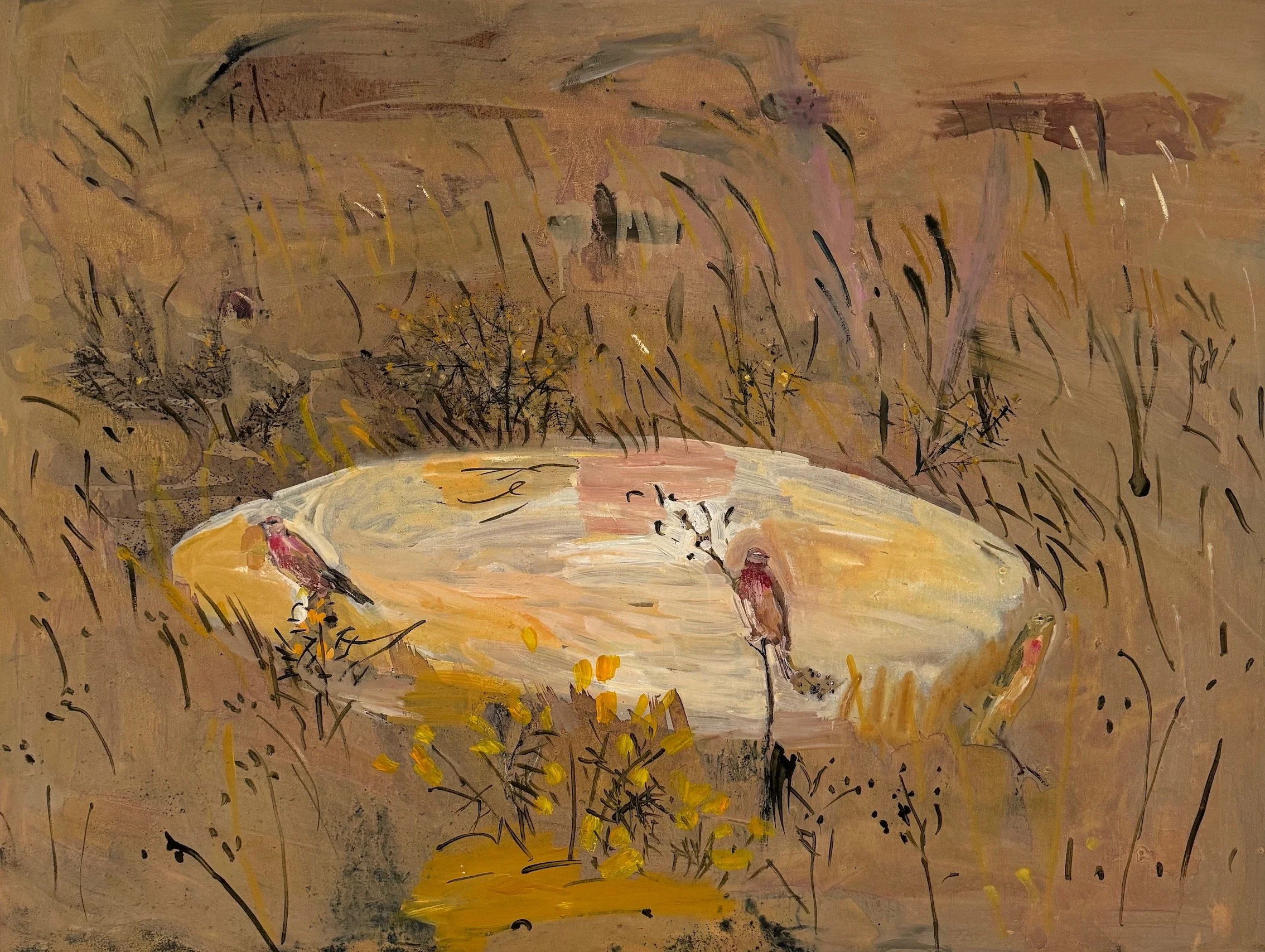 Linnets and gorse 2023