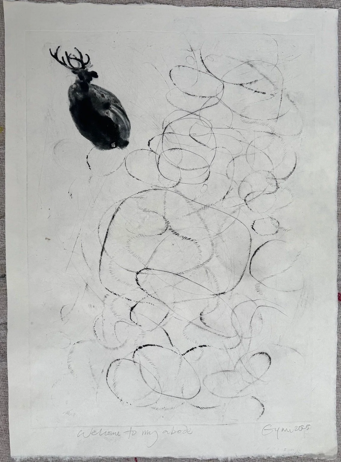 Welcome to my abode 2025