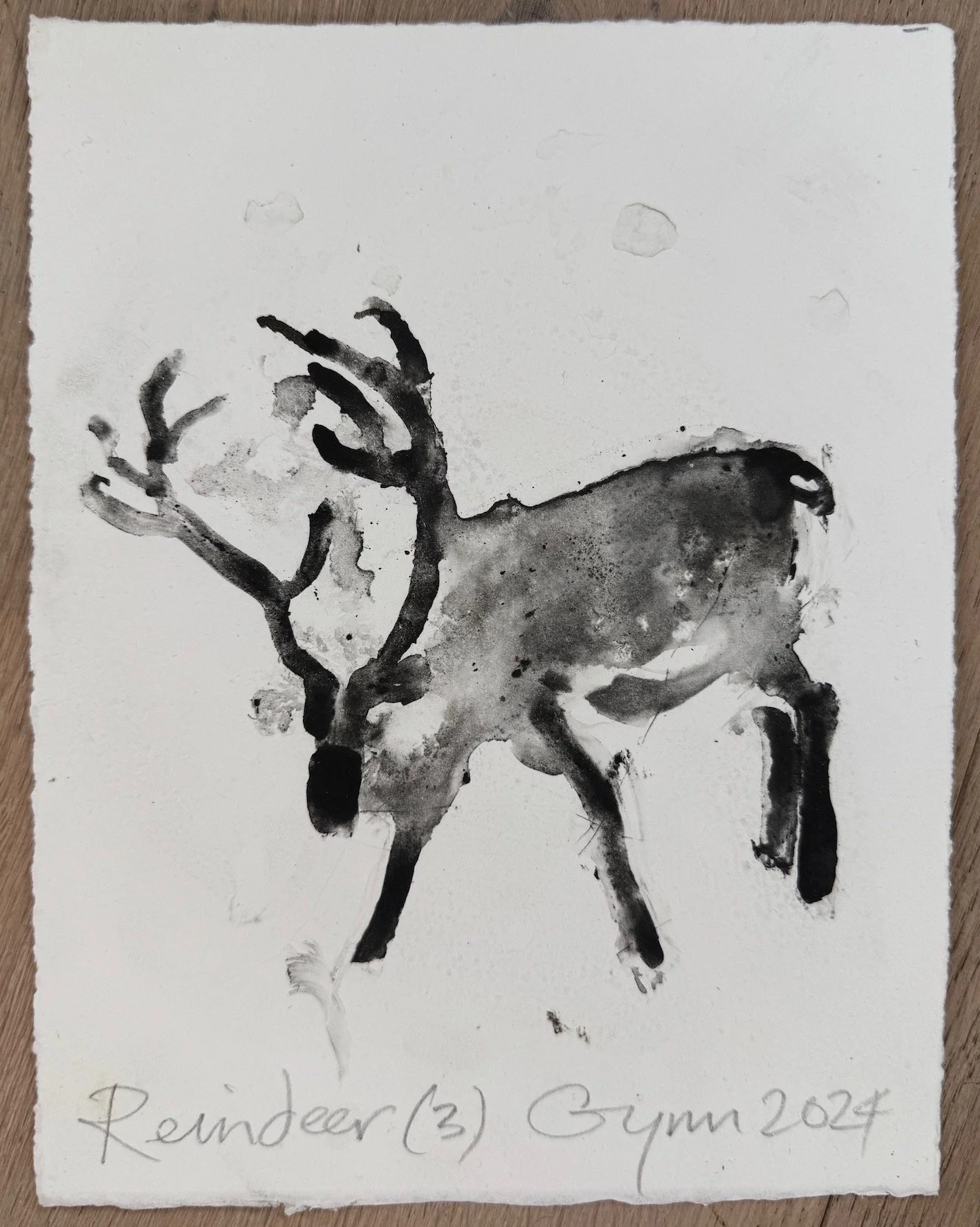 Reindeer (3) 2024