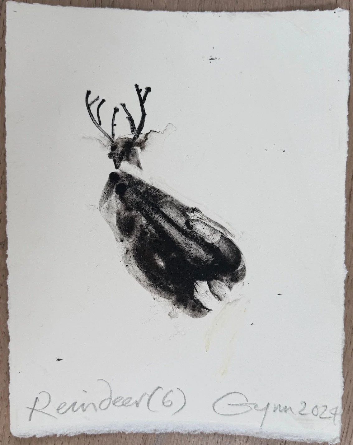 Reindeer (6) 2024