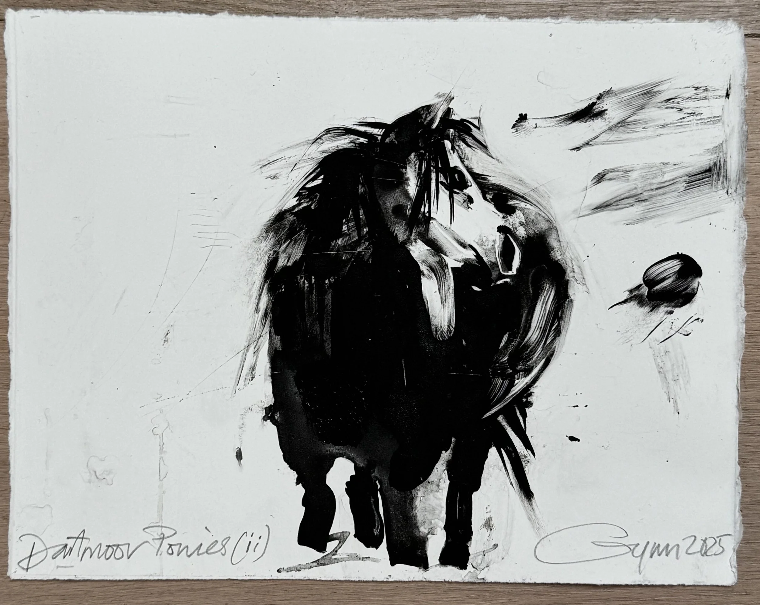 Dartmoor Ponies (ii)