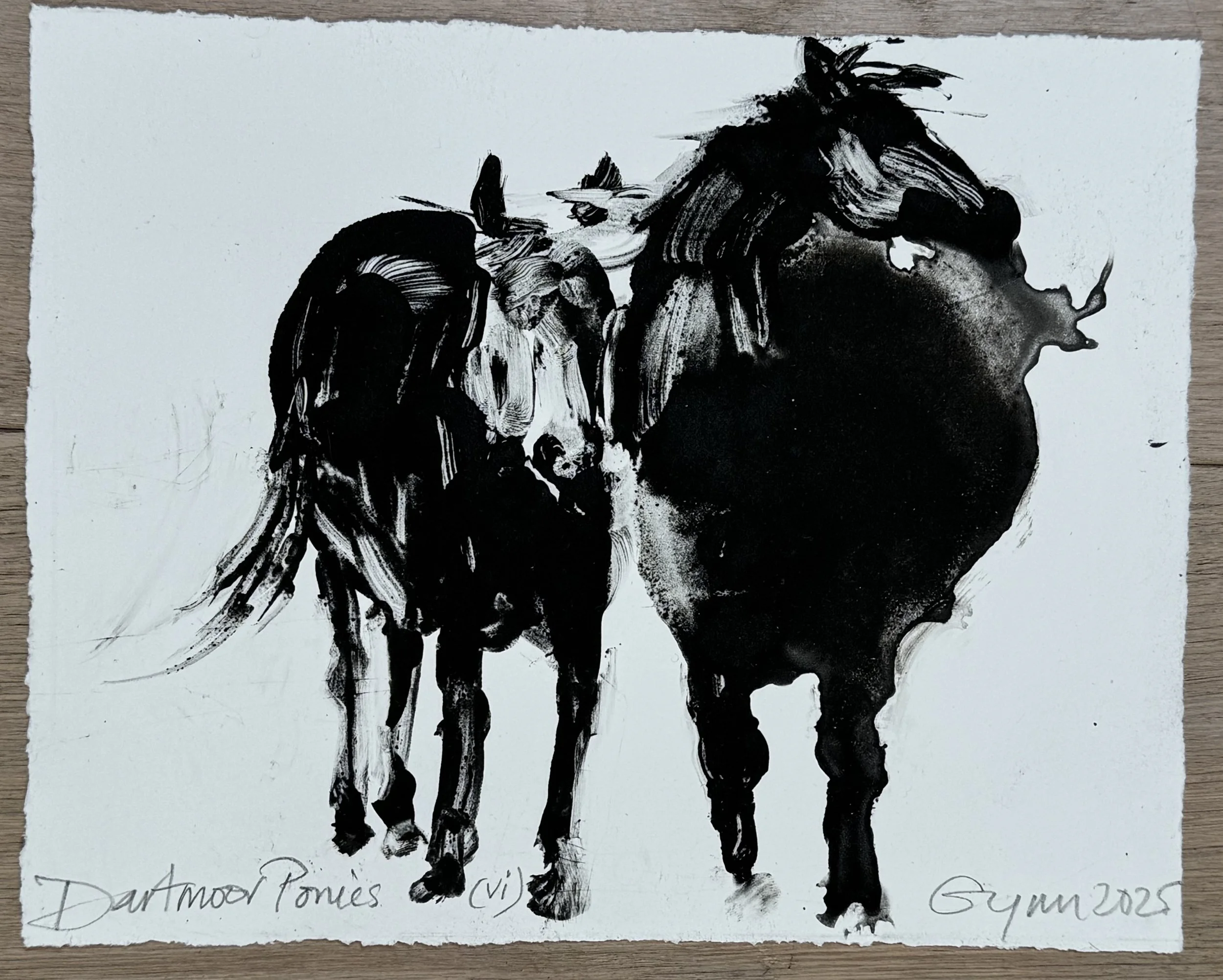 Dartmoor Ponies (vi)