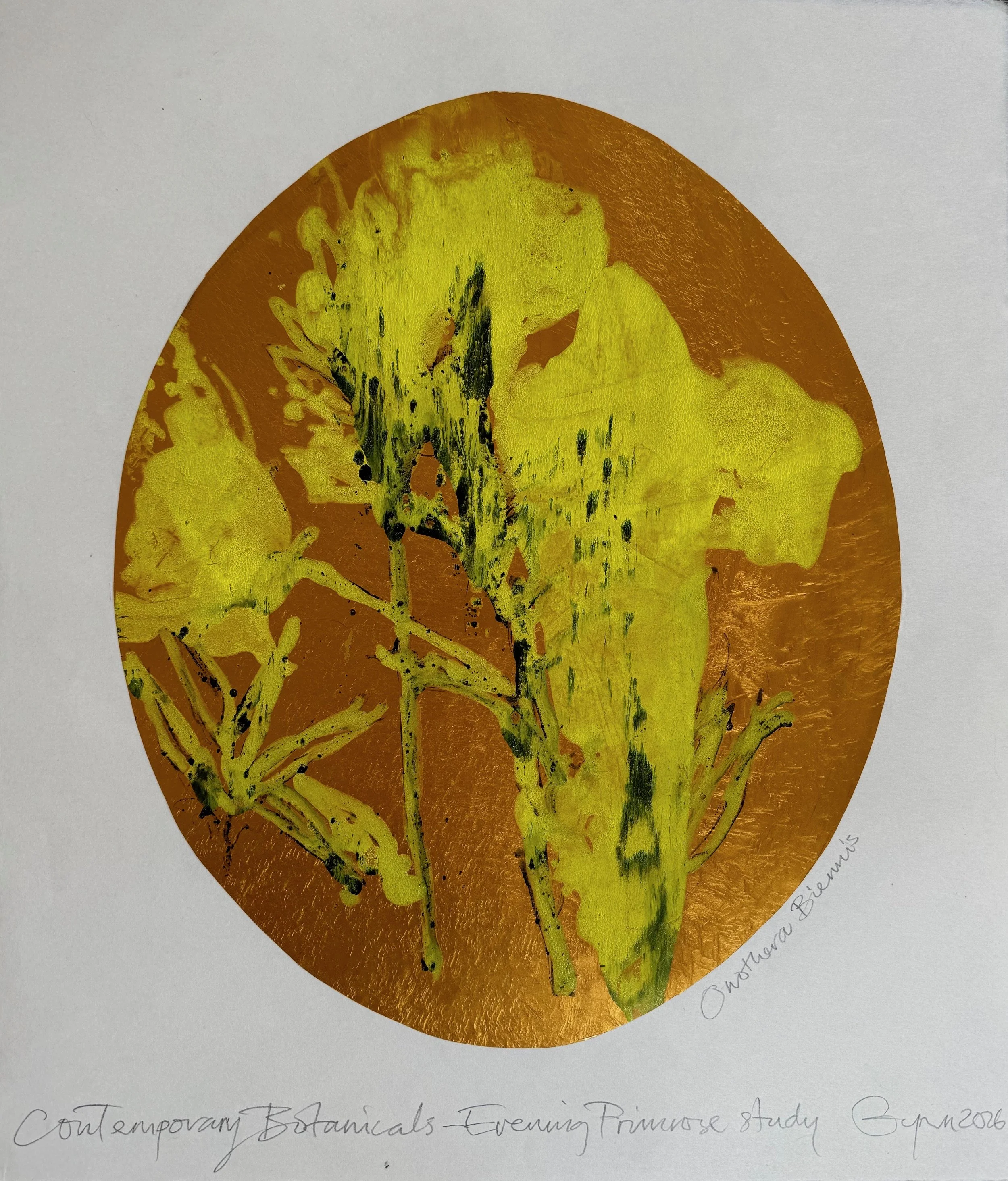 Contemporary Botanicals - Evening Primrose study 2026