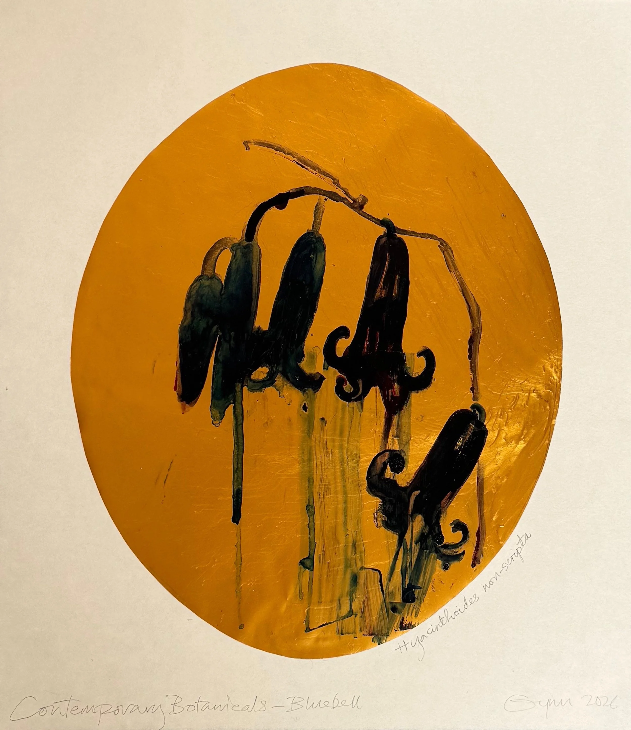 Contemporary Botanicals Bluebell study 2026