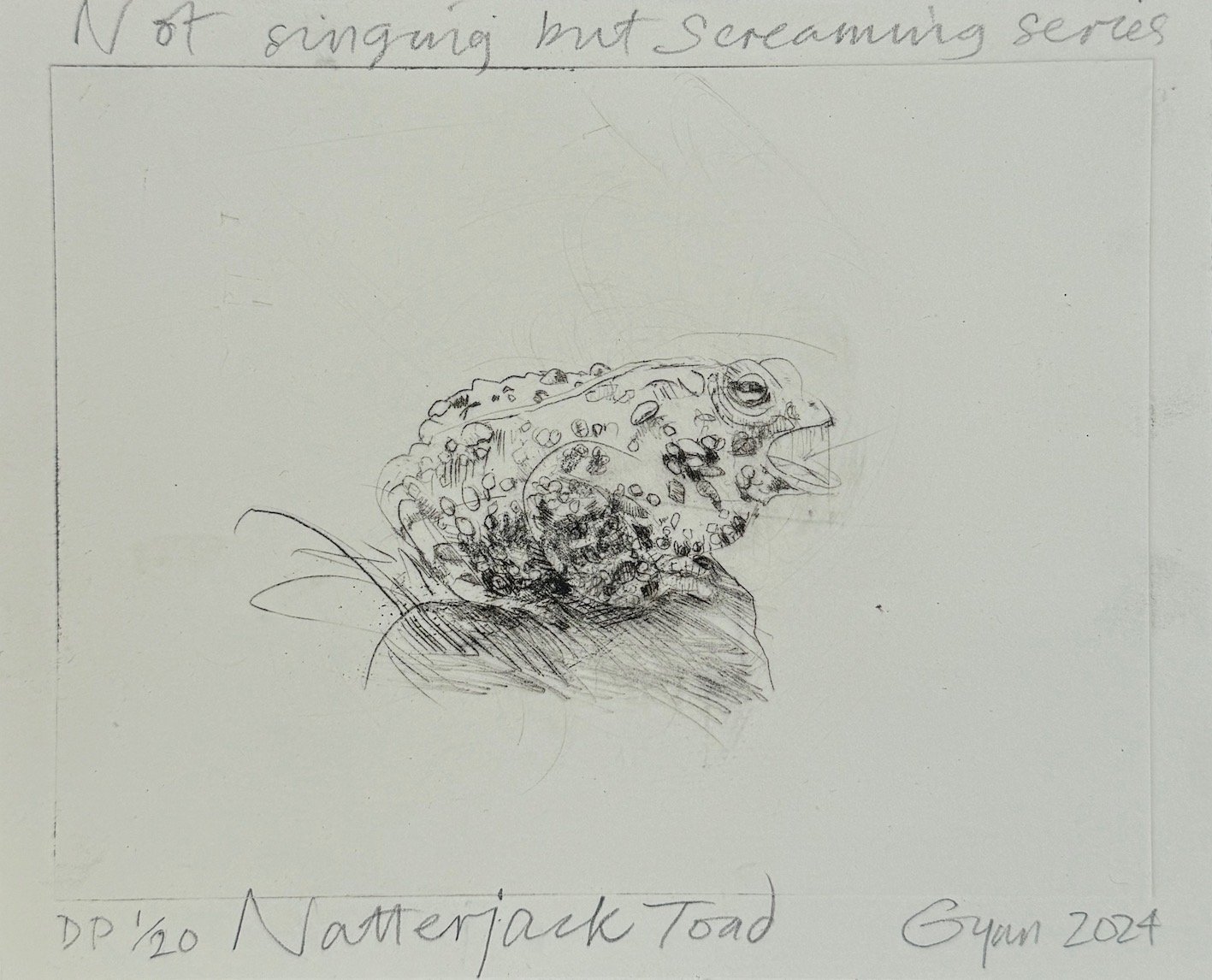 Gynn_Frances_Natterjack_Toad_sm.jpeg