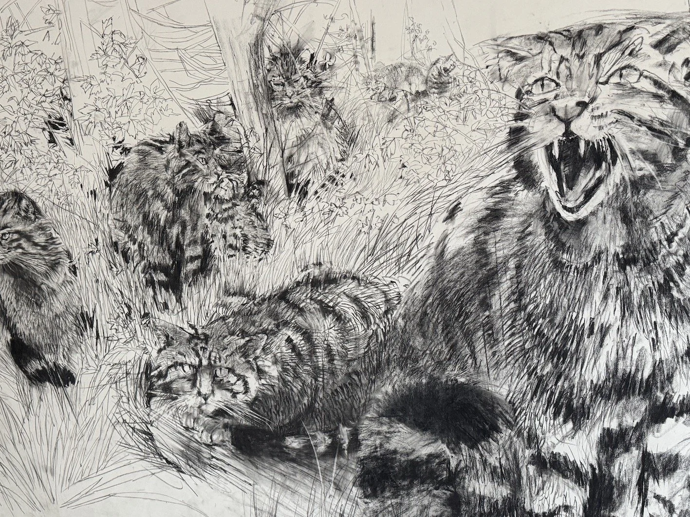 Public Erasure - Wild Cat Detail A