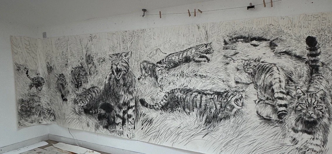 Public Erasure - Wild Cat