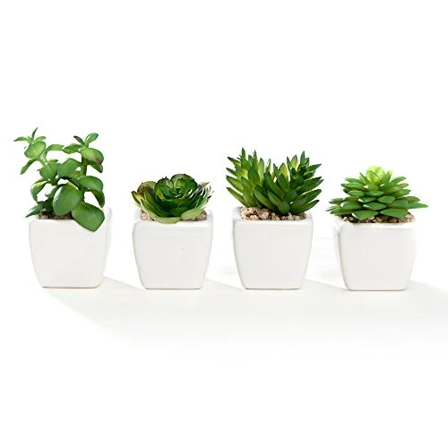 Artificial Plants 