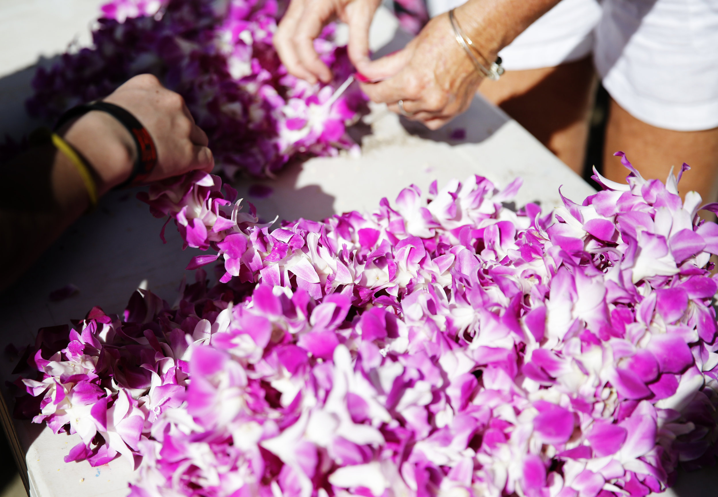 web_H5A8379 copy.jpg