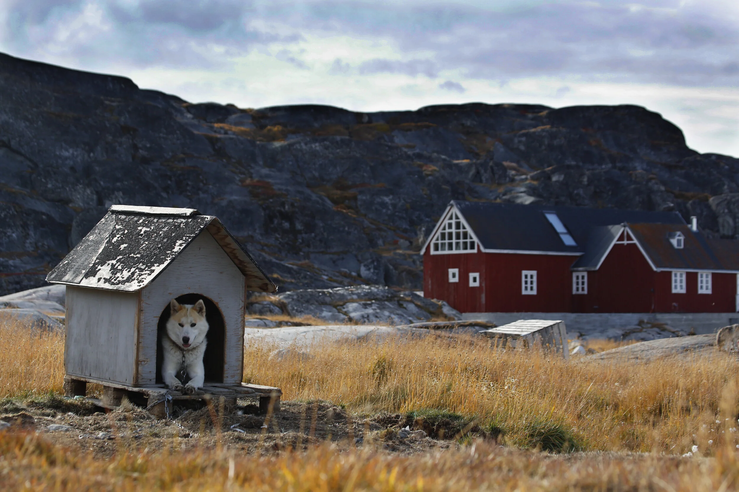 web_H5A9617 copy.jpg