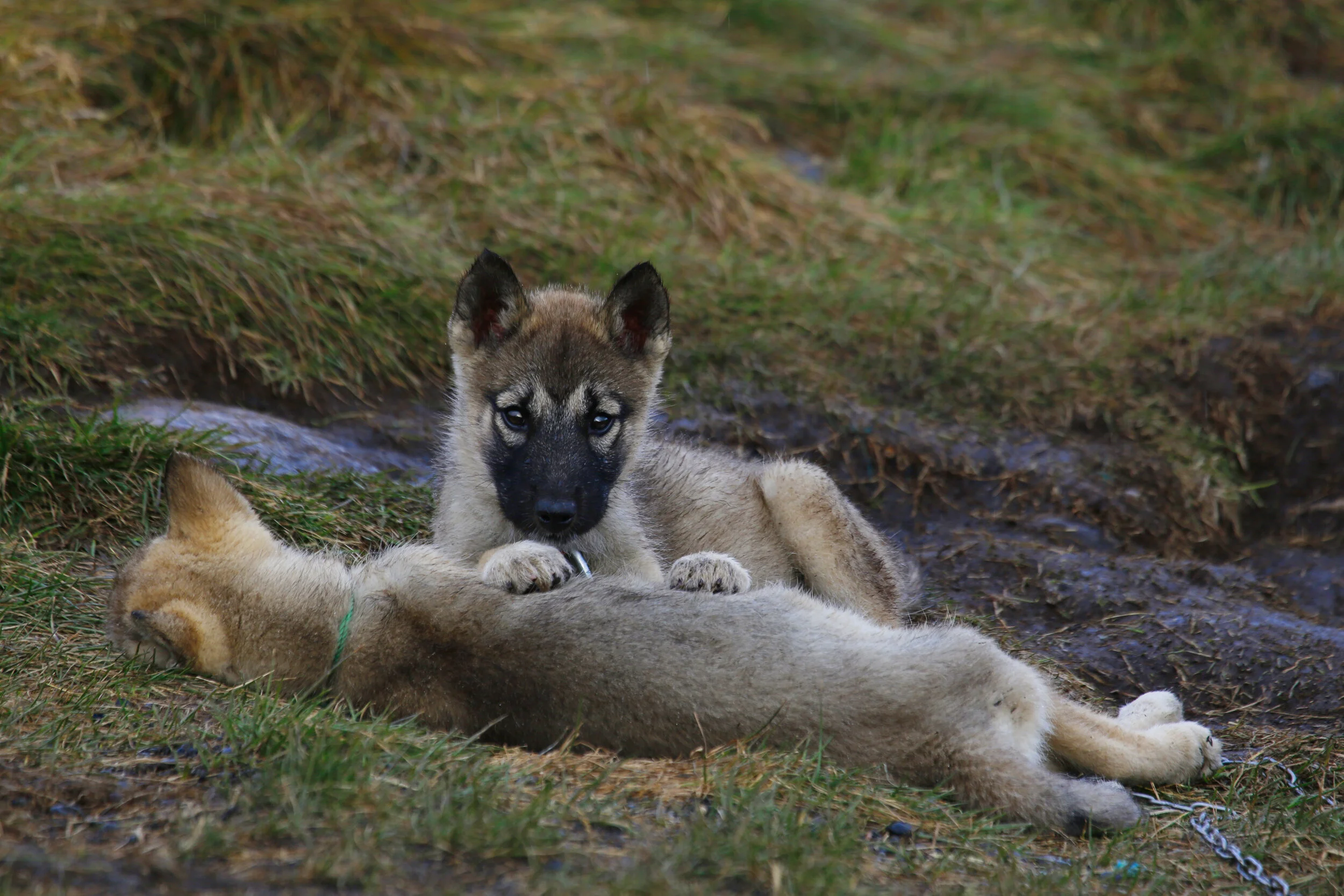 web_H5A1288 copy.jpg