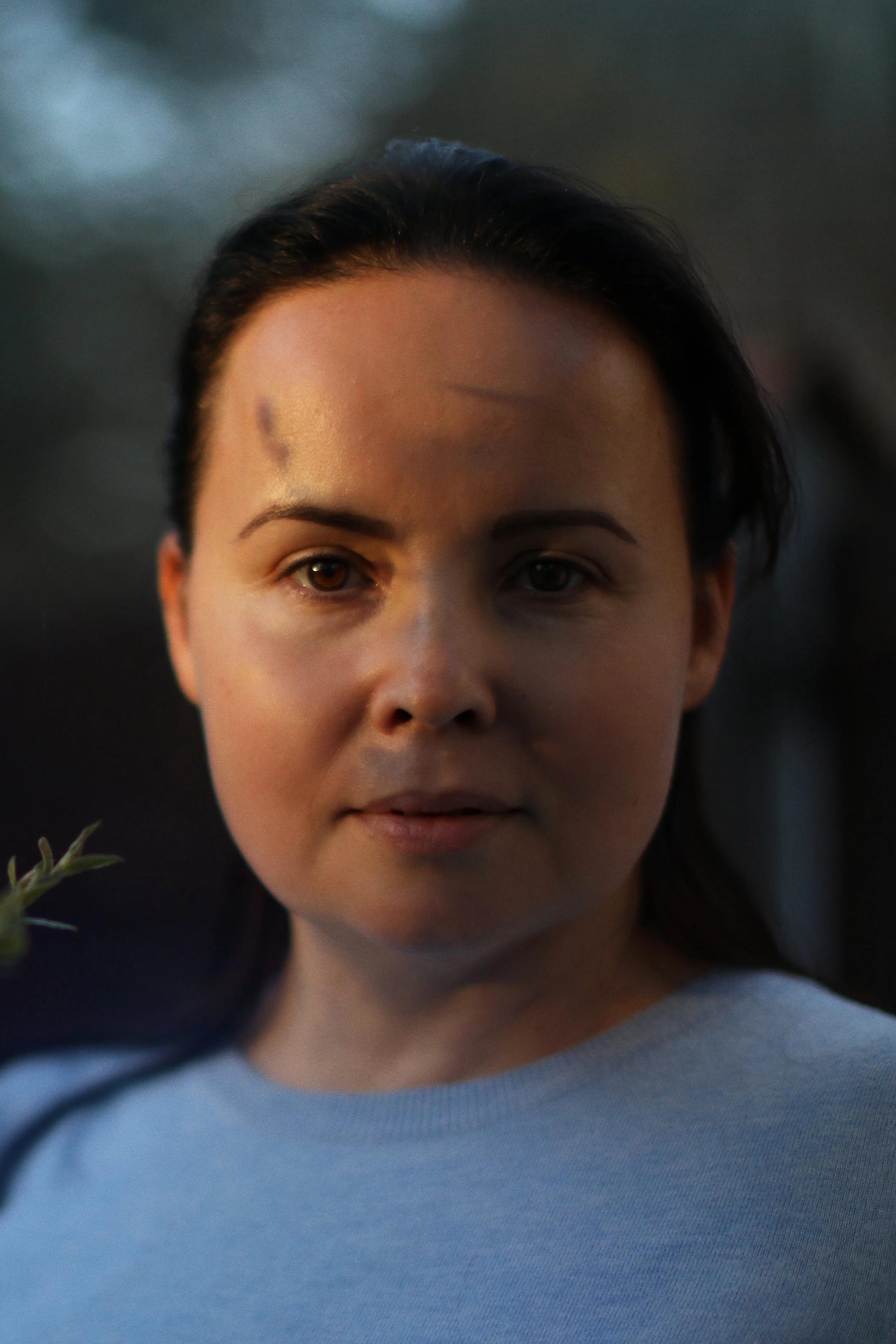web4K0A7361crop2.jpg