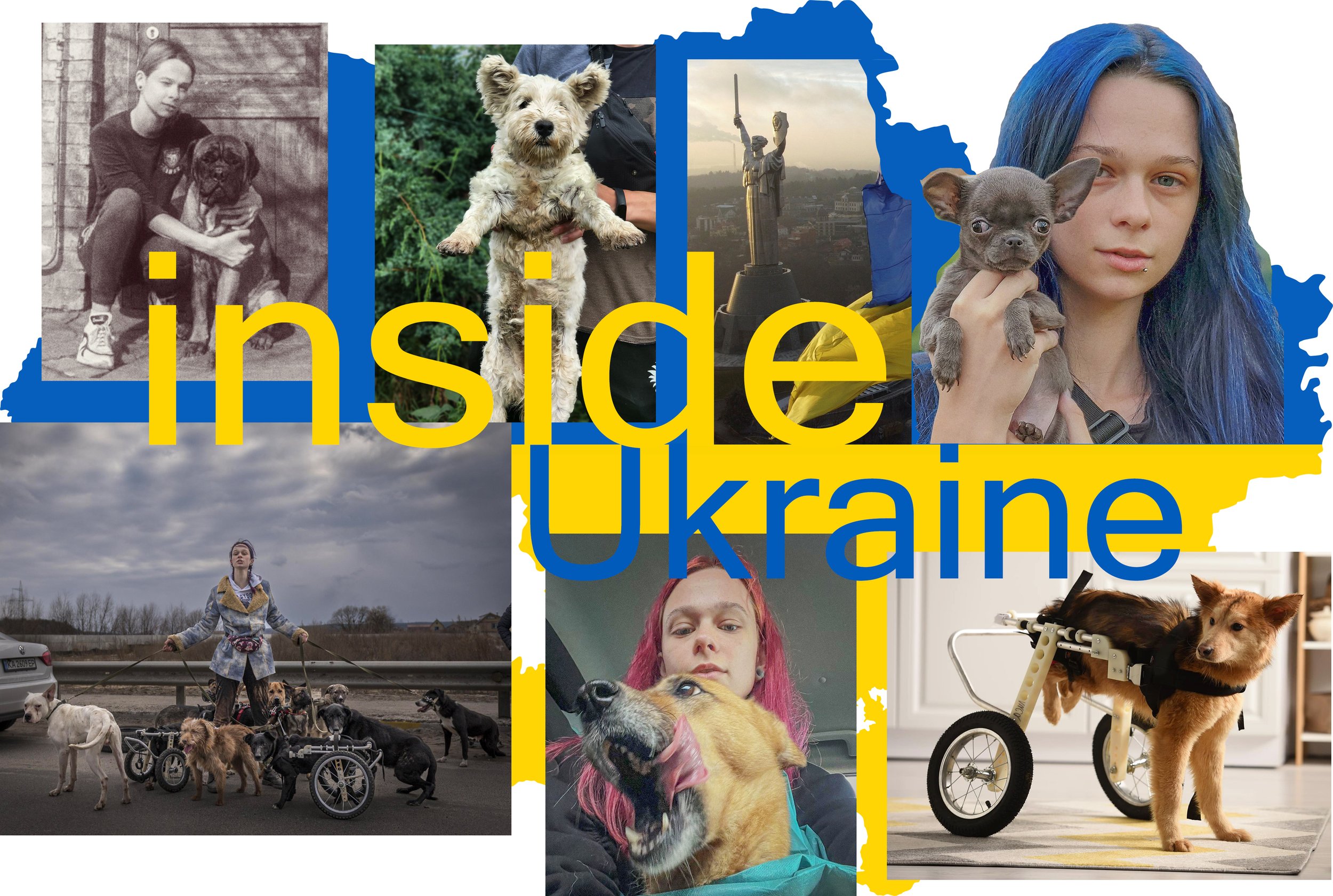 Inside Ukraine - Anastasia Tykha, Fearless Animal Rescuer, No One Left Behind, Irpin