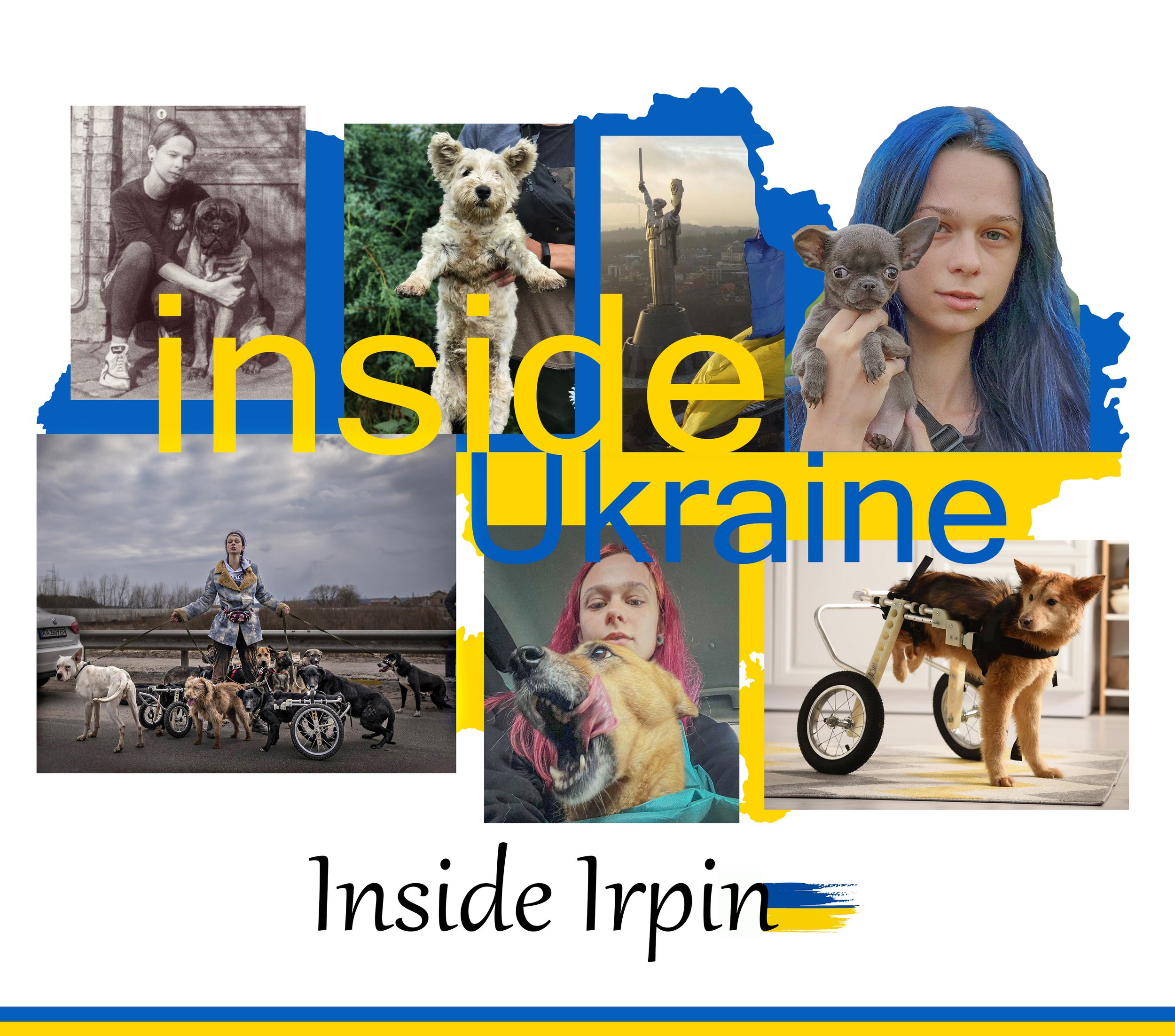 Anastasia - Fearless Animal Rescuer, No One Left Behind, Irpin, Ukraine
