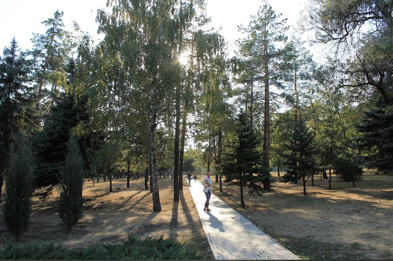 WhatsApp Image 2024-08-01 at 14.19.05_864646a8.jpg