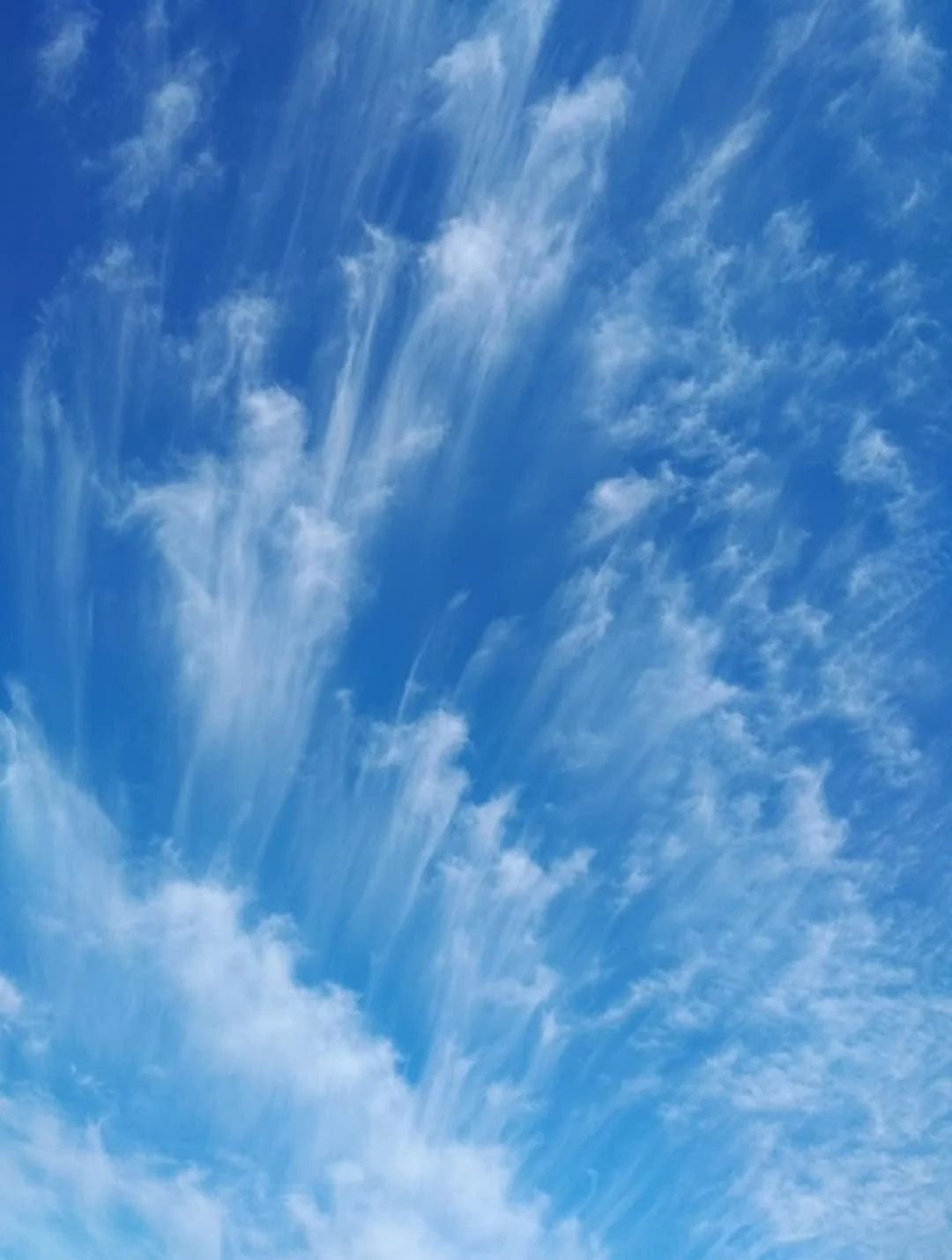 dc837de6-61f7-4e9d-a7b9-51cddf9829ee.jpg