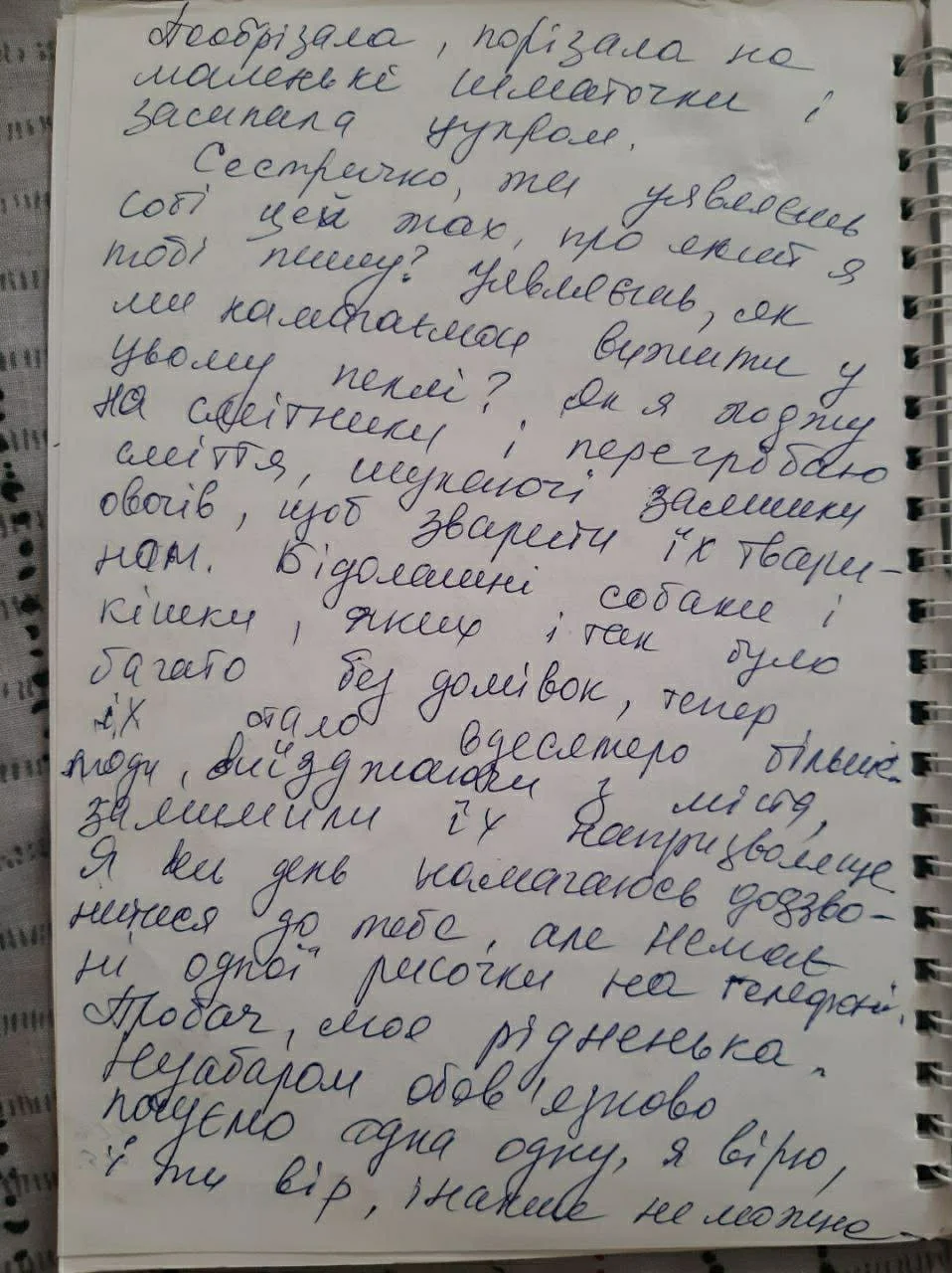 63.jpg