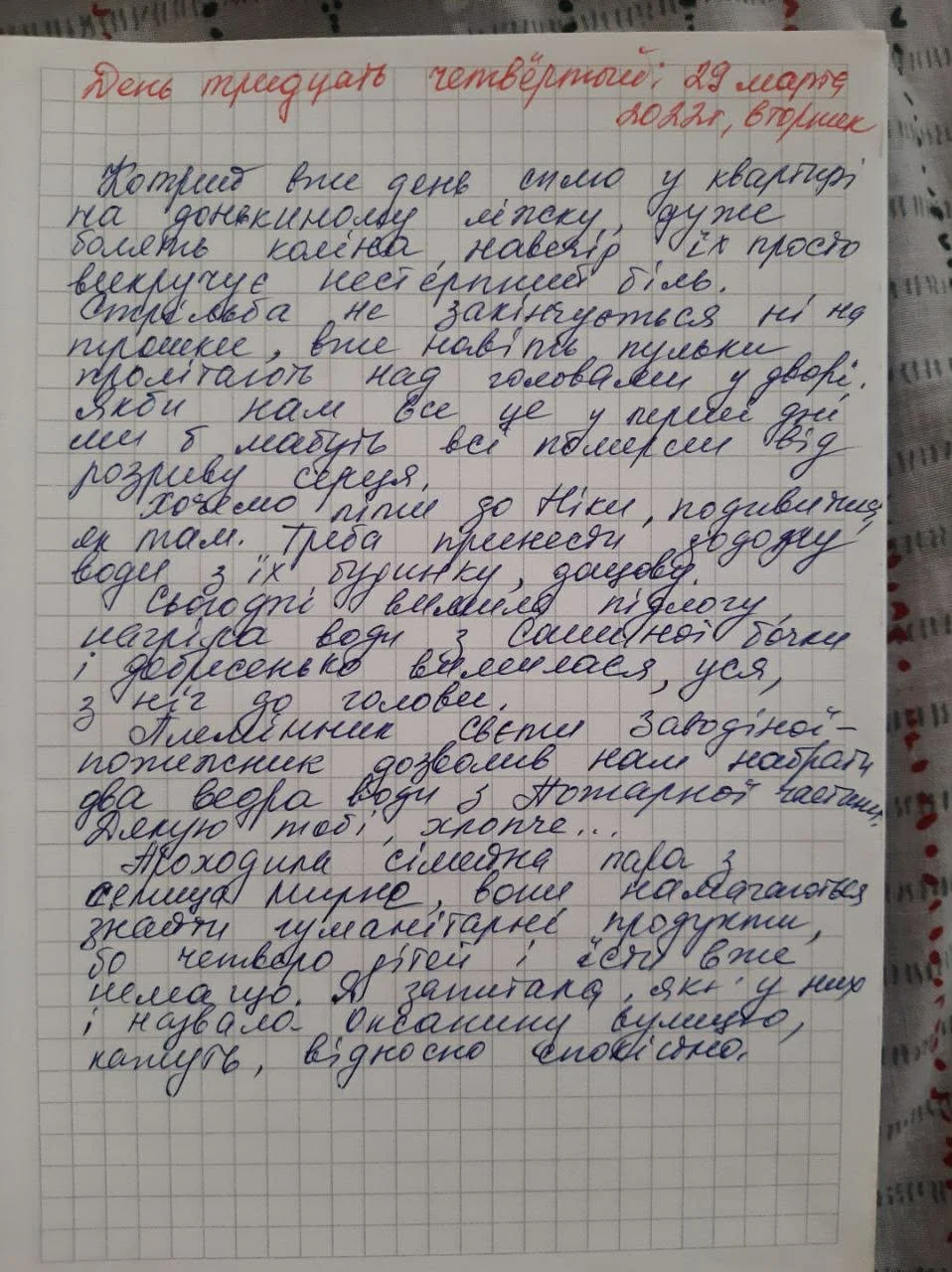 64.jpg