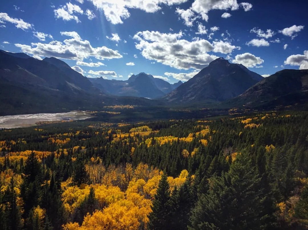 Stay With Me Through September Park Cabin Company Lodging Near