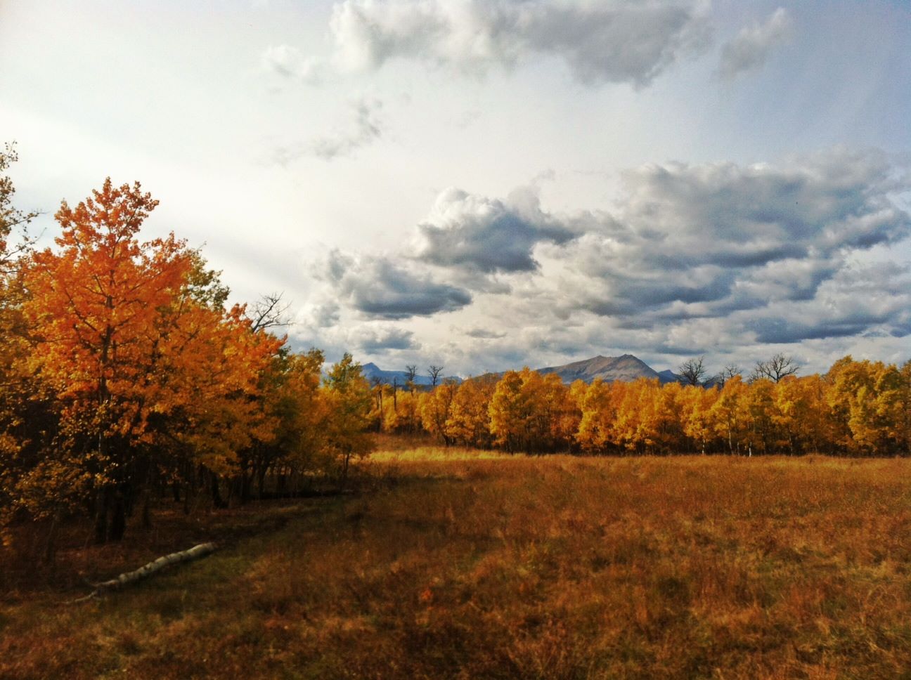 Fall near Babb