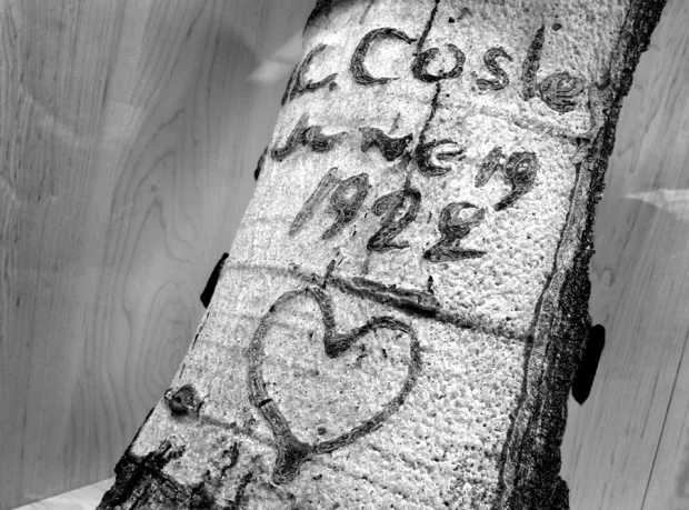 A more romantic version. Kurt Wilson Photo.