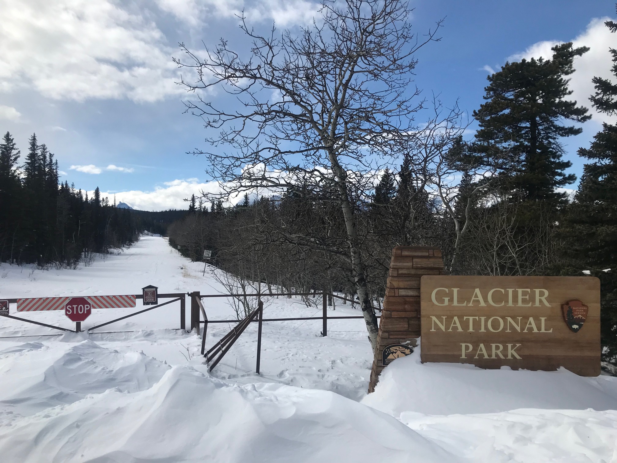 We cruised up to Chief Mountain Highway just for good measure