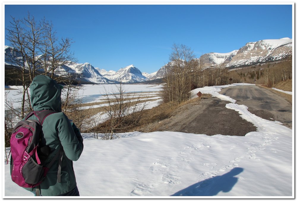 You can just barely ski the first half mile or so of the road, after that there are long sections of pavement