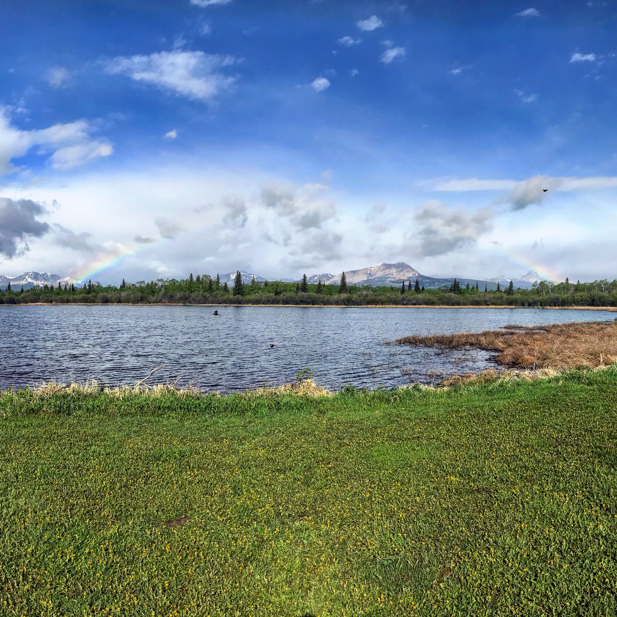 A rainbow stretches over Babb and across the Front