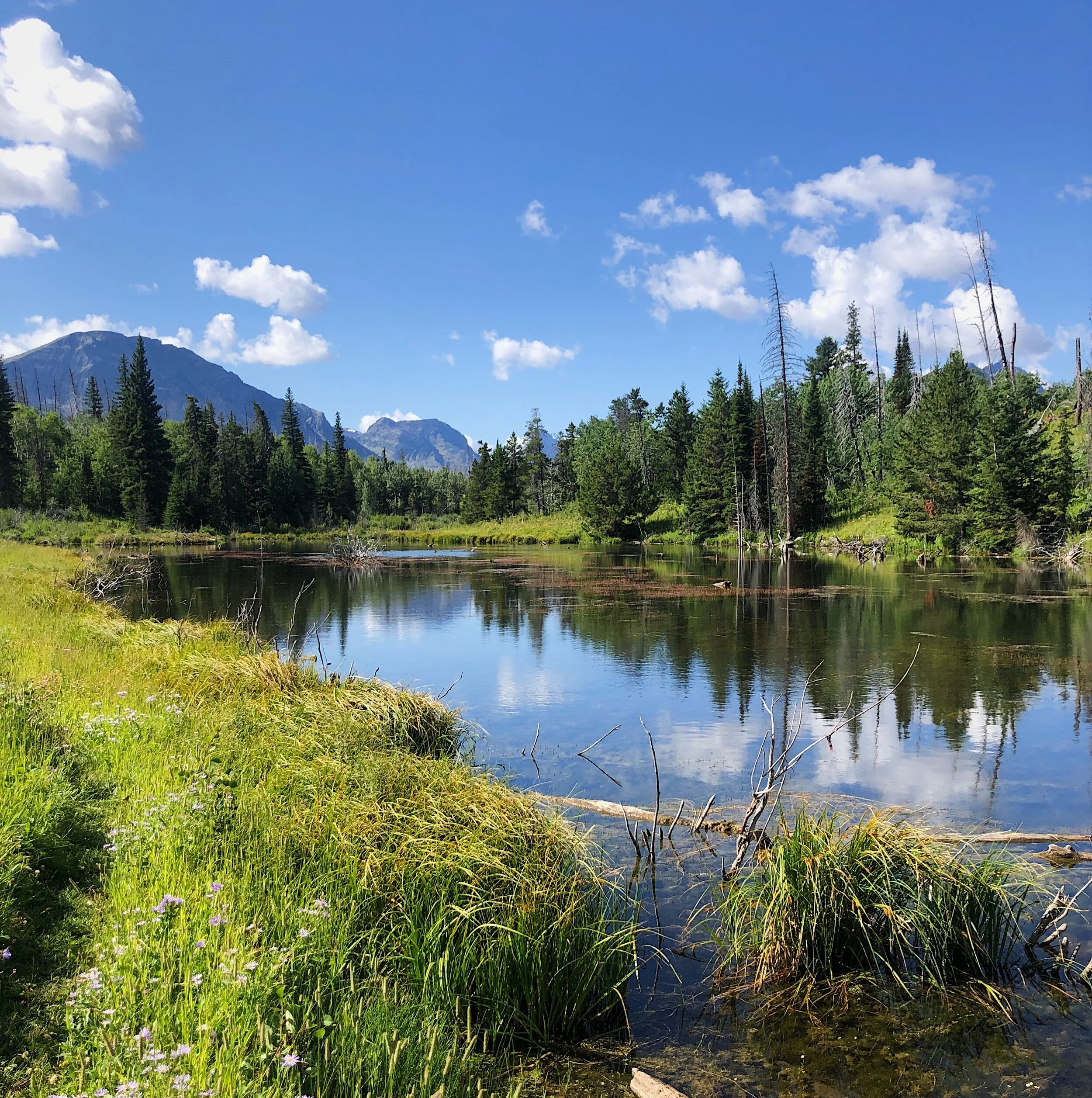 Less Crowded Hikes in Glacier National Park - East Side