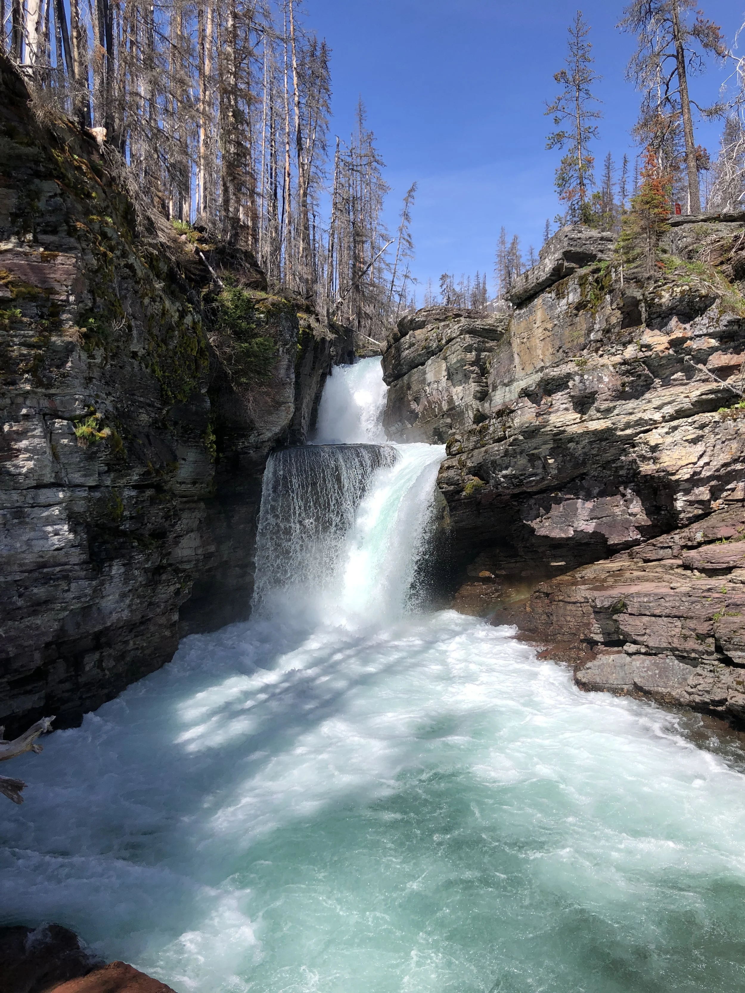 Visiting the East Side of Glacier National Park in June