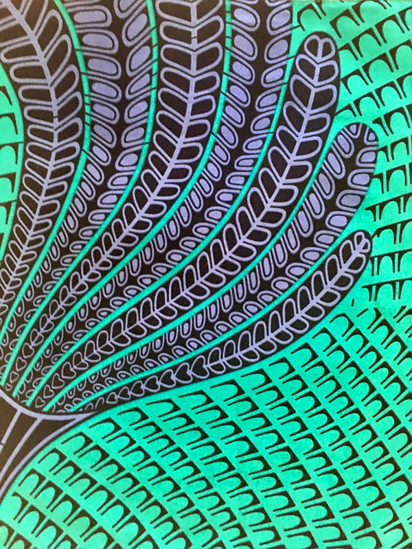 Fern