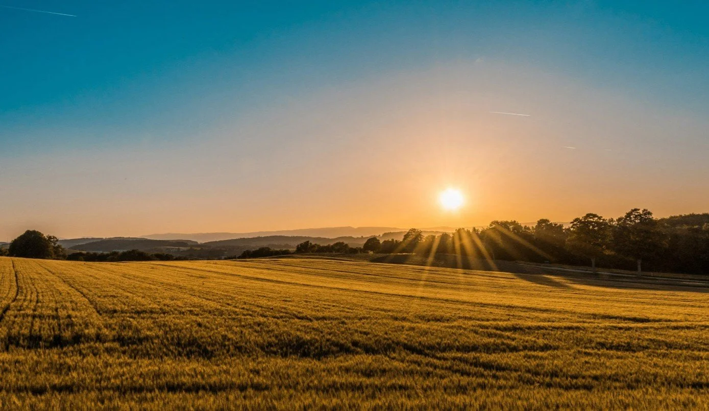 Golden sunrise over a countryside field symbolising new beginnings and fresh opportunities