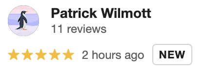Star rating, review count, timestamp, and 'NEW' label for Patrick Wilmott.