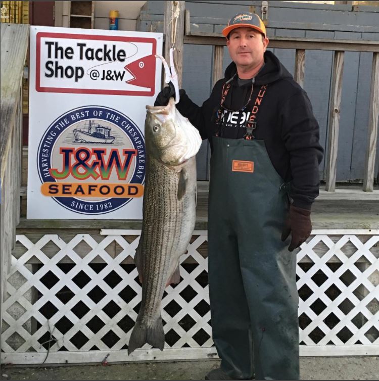 Fish-On Tackle Store