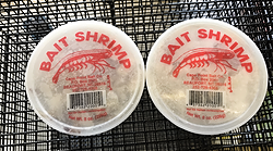J&W Seafood —Live and Frozen Bait Selections