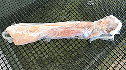 Frozen Jumbo Squid