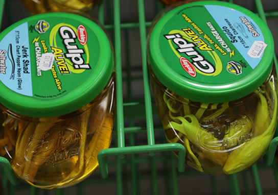 Bait Selection