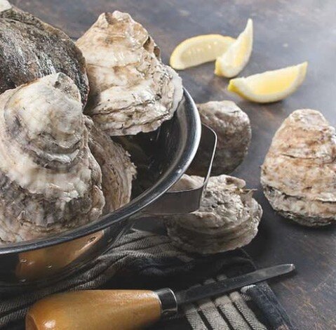 There's a reason people love York River Oysters so much. They have the perfect saltiness from the high salinity in the York River, and really have that true 'Chesapeake Bay Oyster' taste. Try it for yourself today! We have shucked, in shell, and by t