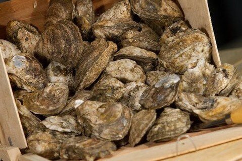 Try roasted oysters as an appetizer for your Thanksgiving meals! Roast them with a little bit of ham and garlic and snack on them all day while your Turkey's in the oven. Order your Oysters from J&amp;W by stopping in or giving us a call at (804) 776