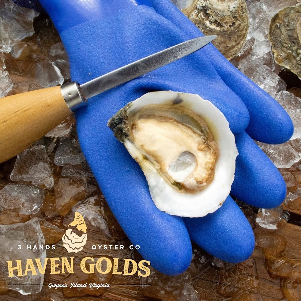 More oysters for the holidays!

We will have @3handsoysterco&rsquo;s delicious Haven Golds available this Wednesday for your last opportunity to get your oysters for all of your yummy Thanksgiving recipes!

We will be closed Thanksgiving Day, so be s