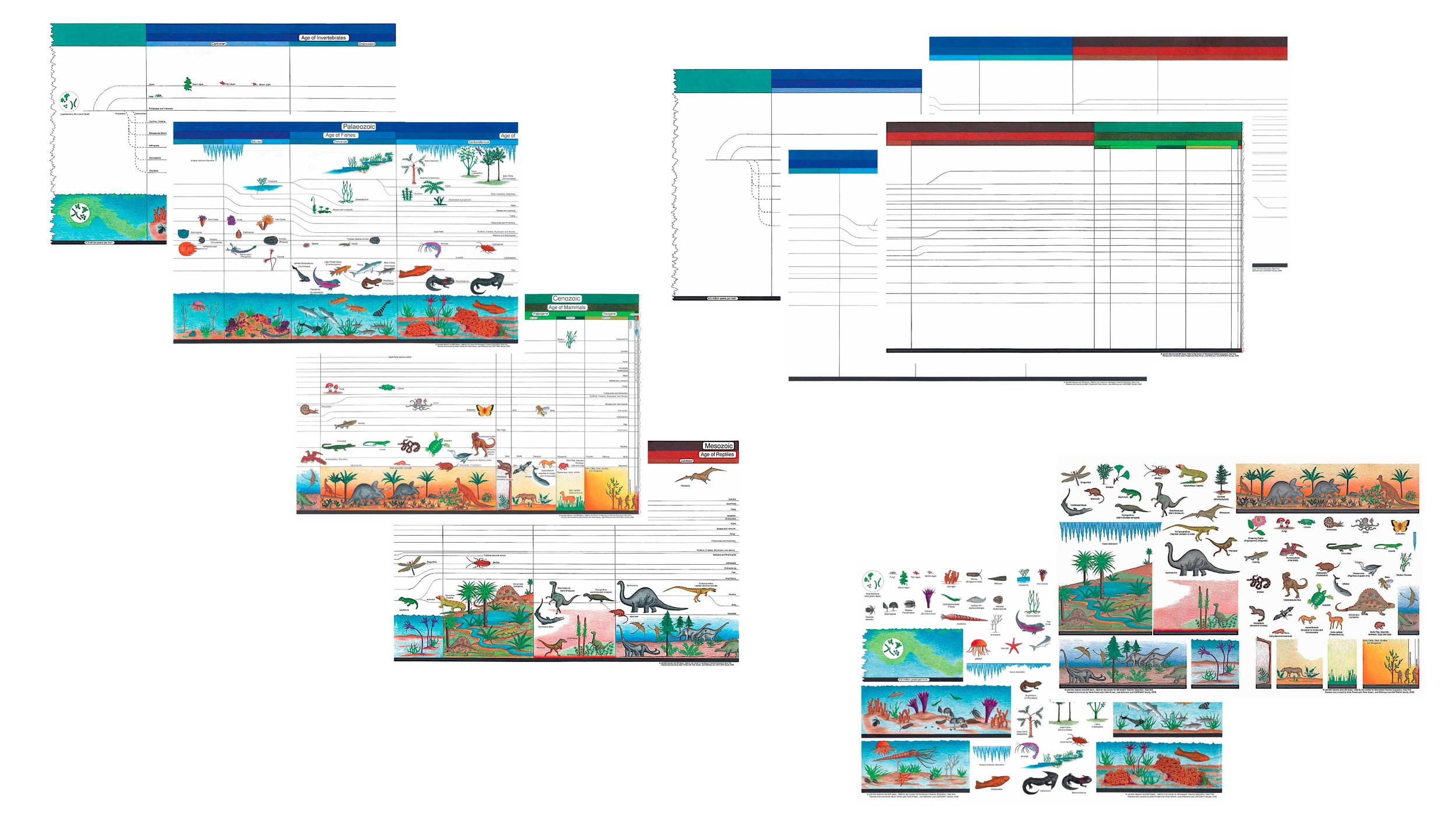 Montessori Elementary Charts