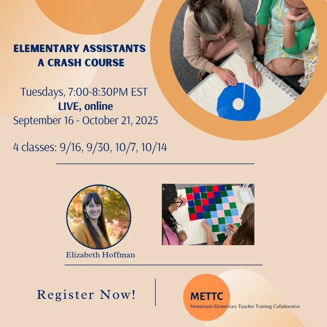 Learn about the dynamic relationship between the prepared adult, the prepared environment, and the elementary child. Our Elementary Assistants Crash Course is designed to support new to Montessori, or new to Elementary, staff members working with Ele