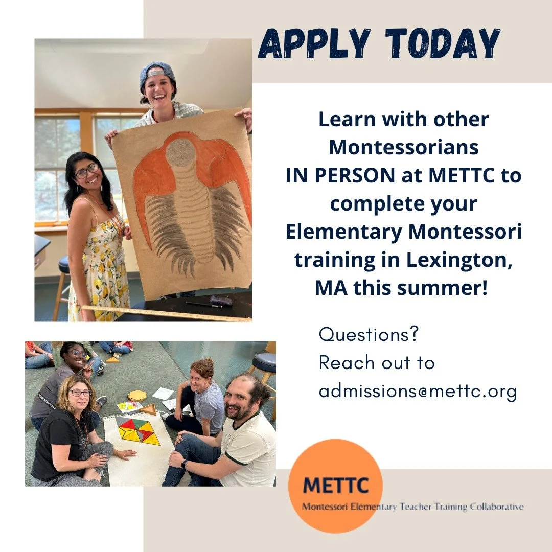 Teacher training is more fun with a cohort! 

Now accepting applications for this summer's Elementary 1, Elementary 2, and Elementary 1-2 training courses.