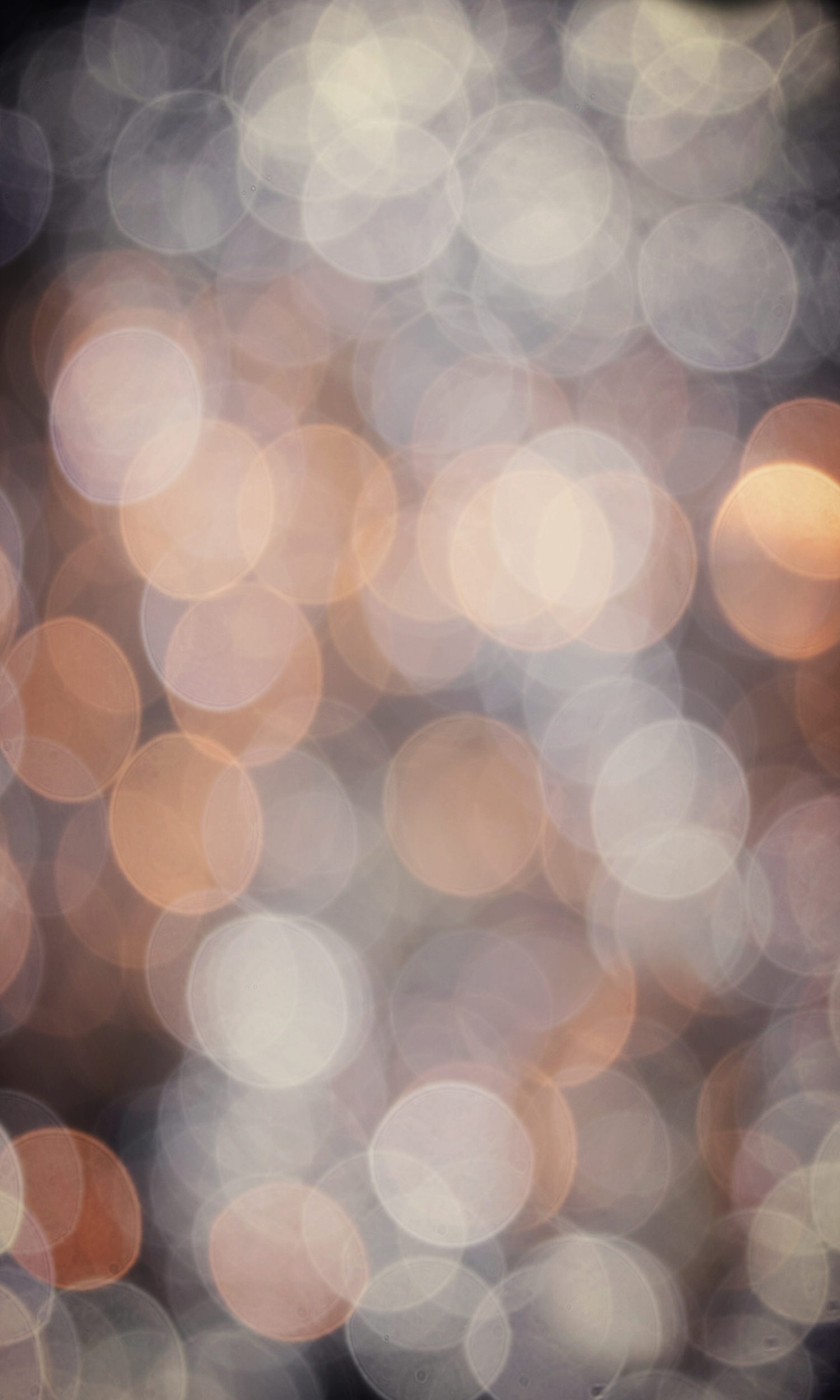 pexels-photo-301664-1.jpeg