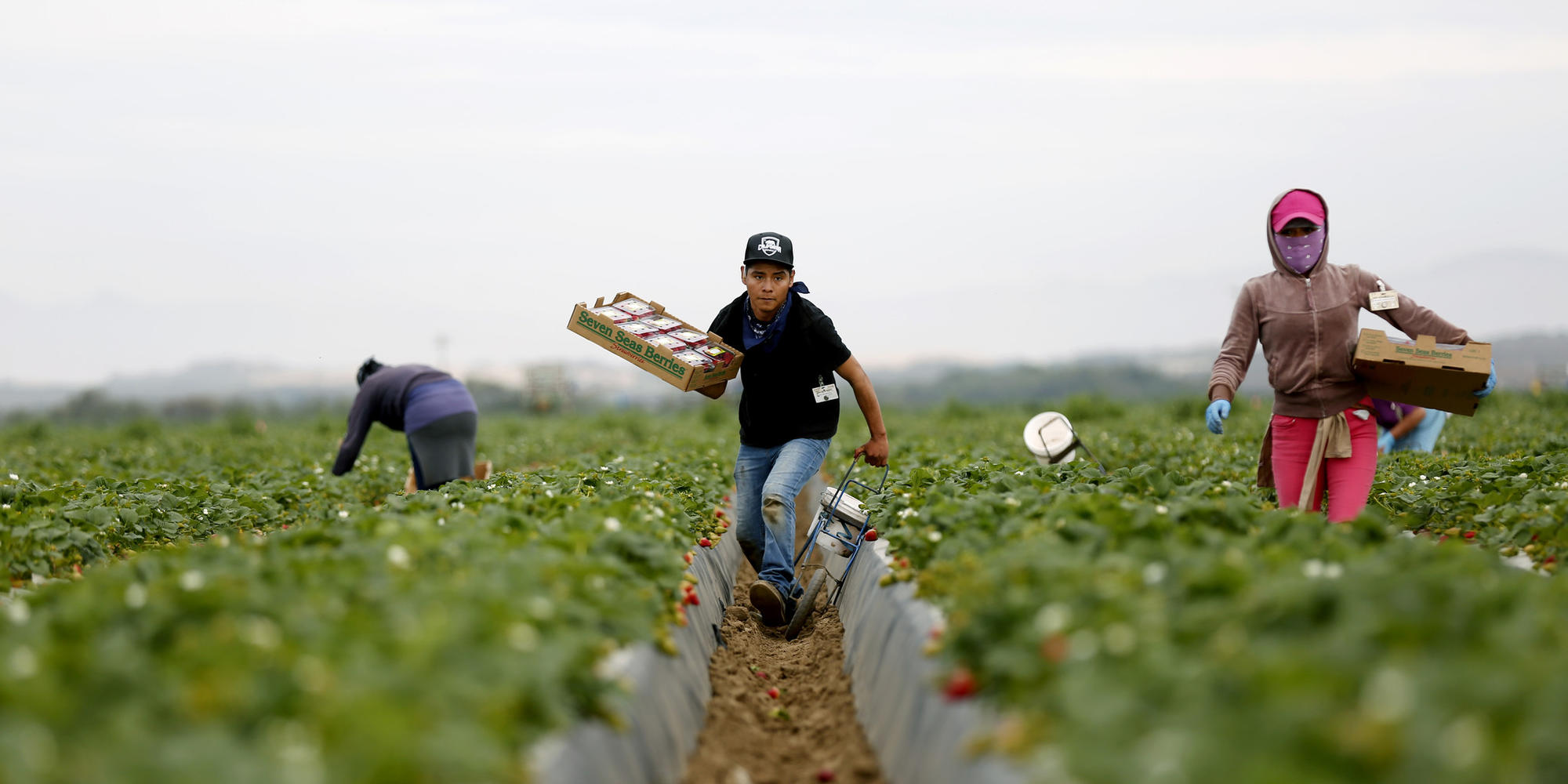 Tennessee JFON Comes to Aid Florida Farmworkers