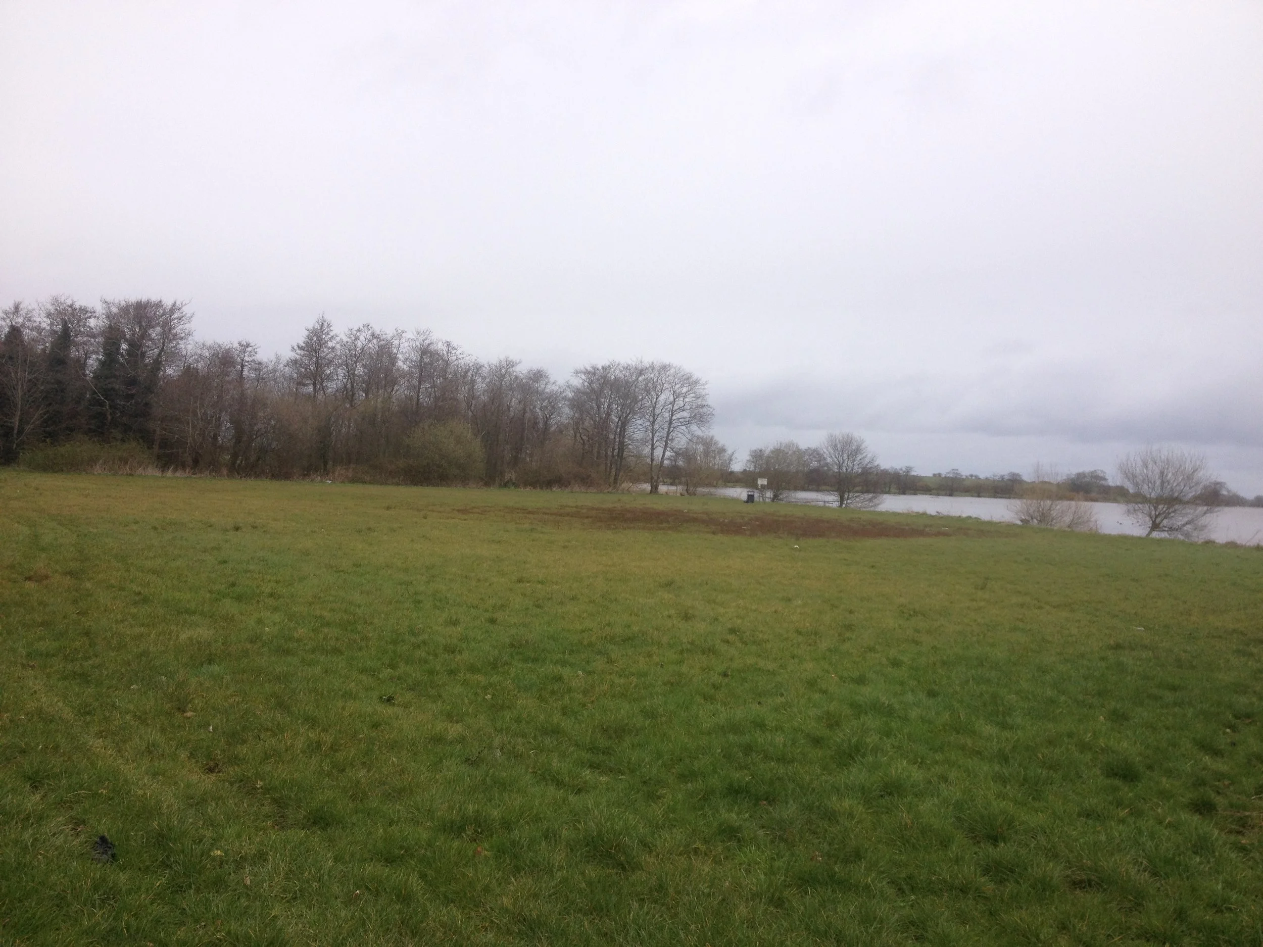 Grass Event Space.JPG